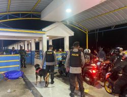 Bawa Anjing Pelacak, Subsatgas Satwa K9 Gelar Patroli Keamanan Di Pelabuhan Feri Galala Sofifi