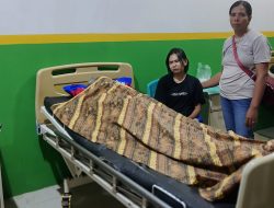 Satu Lagi Pengungsi Erupsi Gunung Api Ibu Meninggal Dunia