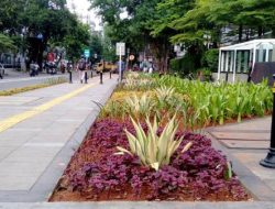 Percantik Wajah Kota, Sebanyak 10000 Bunga Bakal Ditanam di Bundaran KM 40 Sofifi