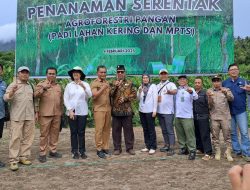 Pemprov Malut Sukseskan Gerakan Tanam Serentak Padi Lahan Kering dan MPTS di Halbar