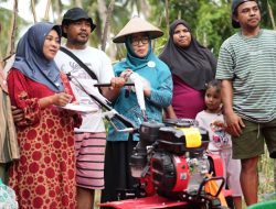 Panen Perdana, Ketua TP PKK Malut Apresiasi Petani milenial Sulamadaha