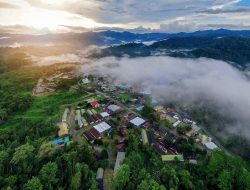 28 Tahun Berkarya, Ini Sumbangsih PT Nusa Halmahera Minerals Untuk Indonesia