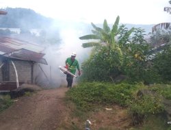 Cegah DBD, NHM Laksanakan Kegiatan Fogging di Kao Teluk