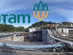 ANTAM Perkuat Fundamental, Laba Triwulan Pertama Tahun 2025 Melonjak Menjadi Rp2,32 Triliun