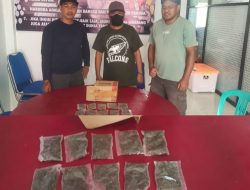 Jemput Peket Ganja, Pria Asal Halut di Tangkap Polisi