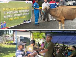 Pertamina Patra Niaga Regional Papua Maluku Salurkan 136 Hewan Kurban di Wilayah Ring 1 Perusahaan