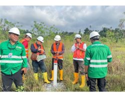 NHM Dukung Langkah LHK Verifikasi Kawasan Hutan di Tambang Gosowong