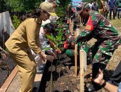 Gubernur Sherly Pimpinan Aksi Penanaman Sejuta Mangrove di Halteng