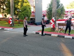 Ditsamapta Polda Malut Kerahkan Satwa K-9 Amankan Peringatan HUT RI ke-80