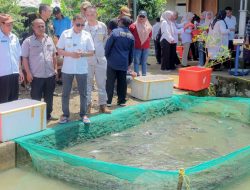 Pemda Halteng Bantu Masyarakat Lakukan Budidaya Ikan Air Tawar Tingkatkan Ekonomi