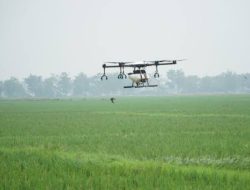 Mantap! Pertanian Halmahera Tengah Sudah Gunakan Drone Untuk Penyebaran Pupuk