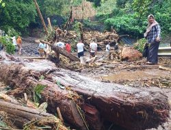 Batang Pohon Yang Terbawa Banjir Tutup Akses Jalan Warga di Togafo