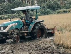 Dukung Asta Cita, Pertamina Patra Regional Papua Maluku Penuhi Kebutuhan BBM Subsidi Bagi Petani