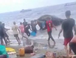 Bawa 20 Penumpang Kapal Cepat Terbalik di Perairan Obi