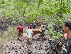 Dilaporkan Hilang, Warga Desa Gitaraja Ditemukan Meninggal Dunia Di Hutan Mangrove