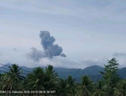 Gunung Api Dokuno Masih Erupsi Semburan Abu Setinggi 1.200 Meter