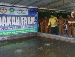 Jadikan Motor Penggerak Ekonomi dan Kemandirian Desa, NHM Siapkan Fasilitas Budidaya Ikan Nila di Kao Barat 