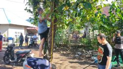 Polres Ternate Ungkap Kronologi Pria Muda Meninggal Gantung Diri di Ternate 