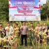 Wakapolda Maluku Utara Hadiri Panen Raya Jagung Serentak Kuartal II di Sofifi