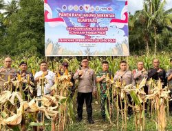 Wakapolda Maluku Utara Hadiri Panen Raya Jagung Serentak Kuartal II di Sofifi
