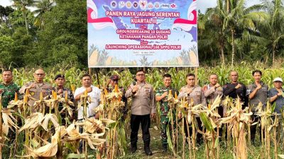 Wakapolda Maluku Utara Hadiri Panen Raya Jagung Serentak Kuartal II di Sofifi