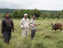 IWIP dan Masyarakat Rayakan Idul Adha dalam Semangat Kebersamaan