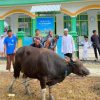 Wujud Rasa Syukur, Warga Desa Tabalema Berkurban di Idul Adha 1447 H
