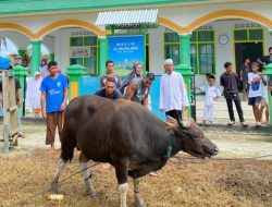 Wujud Rasa Syukur, Warga Desa Tabalema Berkurban di Idul Adha 1447 H
