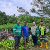 Kawasan Mangrove Kao Tumbuh Pesat, Bukti Komitmen NHM terhadap Keberlanjutan Lingkungan 