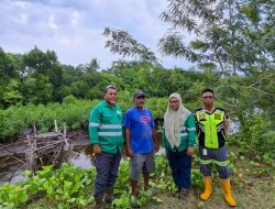 Kawasan Mangrove Kao Tumbuh Pesat, Bukti Komitmen NHM terhadap Keberlanjutan Lingkungan 