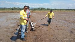 Dukung Ketahanan Pangan, NHM Kembangkan Pertanian Modern Berbasis Teknologi di Kao Barat
