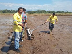 Dukung Ketahanan Pangan, NHM Kembangkan Pertanian Modern Berbasis Teknologi di Kao Barat