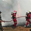 Respons Cepat ERT NHM Tangani Kebakaran di Area Perkebunan Makaeling 