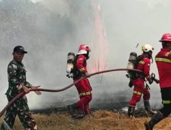 Respons Cepat ERT NHM Tangani Kebakaran di Area Perkebunan Makaeling 