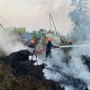 Brimob Polda Malut Gerak Cepat, Atasi Kebakaran Lahan di Tobelo 