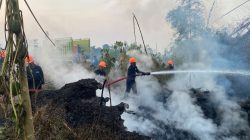 Brimob Polda Malut Gerak Cepat, Atasi Kebakaran Lahan di Tobelo 