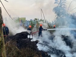 Brimob Polda Malut Gerak Cepat, Atasi Kebakaran Lahan di Tobelo 