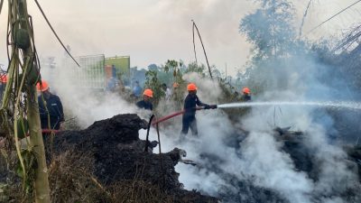 Brimob Polda Malut Gerak Cepat, Atasi Kebakaran Lahan di Tobelo 