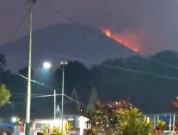 Kebakaran Hebat Di Puncak Gunung Api Gamkonora, 5 Pendaki Dievakuasi