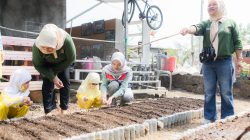 Pertamina Patra Niaga AFT Babullah Bersama TK Khalifah Ajak Siswa Belajar di Agrowisata