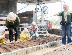 Pertamina Patra Niaga AFT Babullah Bersama TK Khalifah Ajak Siswa Belajar di Agrowisata