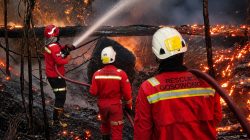 Begini Respons Terpadu NHM dalam Penanganan Karhutla di Gosowong 