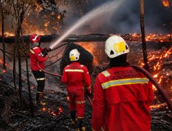 Begini Respons Terpadu NHM dalam Penanganan Karhutla di Gosowong 