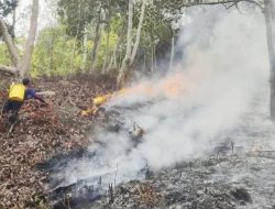 BPBD Halbar Tangani Karhutla di Empat Kecamatan