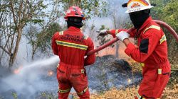 NHM Perkuat Kesiapsiagaan Hadapi Karhutla dengan Respons Terpadu dan Berlapis 