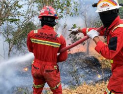 NHM Perkuat Kesiapsiagaan Hadapi Karhutla dengan Respons Terpadu dan Berlapis 