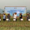 BI Dorong Pengembangan Bawang Merah, Pemkab Haltim Sambut Positif Dongkrat Ketahan Pangan Daerah