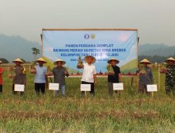 BI Dorong Pengembangan Bawang Merah Perkut Ketahan Pangan Daerah